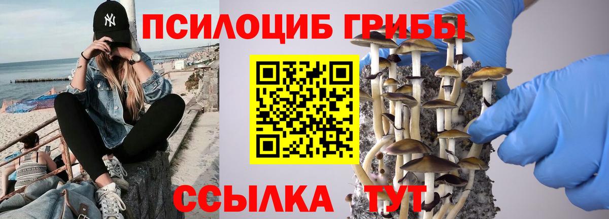 Гурьевск  Галлюциногенные грибы Cubensis  Псилоцибиновые грибы Magic Shrooms  Вход с VPN 